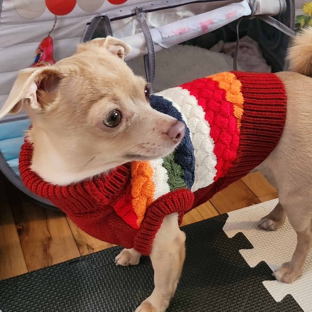 Meet your Posher, Posh